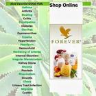 foreverliving aloe india store-icoon