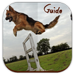 ”Dog Training Guide