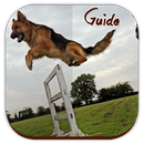 Dog Training Guide APK