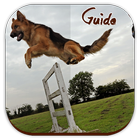Dog Training Guide ไอคอน