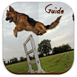 Dog Training Guide ไอคอน