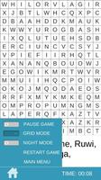 Find Word Search Puzzle পোস্টার