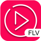 reproductor de video flv icono