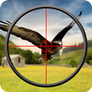 Bird Hunting 3d Adventure-APK