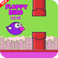 runner Bird 2018