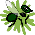 Fly Crush