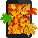 APK Autumn 3D Live Wallpaper
