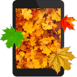 Autumn 3D Live Wallpaper
