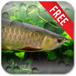 Aquarium Arowana LWP icon