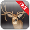 Deer Hunting Live Wallpaper