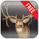 APK Deer Hunting Live Wallpaper