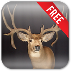 Deer Hunting Live Wallpaper icône