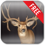 Deer Hunting Live Wallpaper icône