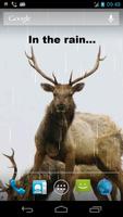 Deer Hunting Live Wallpaper capture d'écran 1