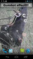 Deer Hunting Live Wallpaper capture d'écran 2