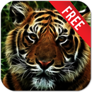 Neon Tiger Live Wallpaper APK