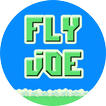 Fly Joe!