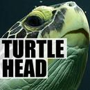 APK TurtleHead Camera