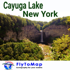 Cayuga Lake Gps Map Navigator icono