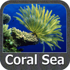 Coral Sea GPS Nautical Charts icône