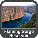 Flaming Gorge Lake Offline Map-APK