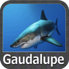 Guadeloupe GPS Map Navigator icon
