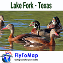 Lake Fork Texas GPS Charts APK