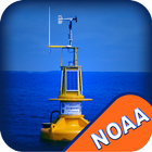 NOAA Buoys Stations & Ships-icoon