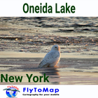 Oneida Lake GPS Map Navigator-icoon
