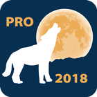 Lunar Calendar PRO icône