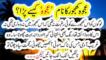 Ajwa Khajoor Ajwa Dates ki Fazilat in Urdu পোস্টার