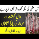 Halal Aur Murdar Gosht Mai Farq  Halal Meat APK