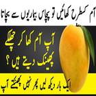 Mango Khane Ka Anokha Tareeqa Aur Us K Faeday icono