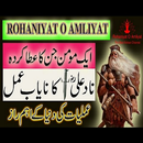 Naad e Ali Ka Nayab Amal aplikacja
