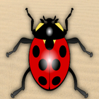 Speedy Beetle آئیکن