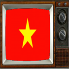 Satellite Vietnam Info TV-icoon