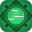 Surah Yaseen APK