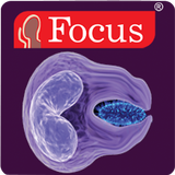 ikon Hematology - Medical Dict.