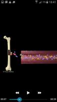 Hematology - Medical Dict. اسکرین شاٹ 3