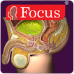 ikon Urology - Medical Dictionary