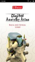 BACK AND SPINAL CORD - ATLAS poster