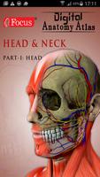Head and Neck- Digital Anatomy الملصق