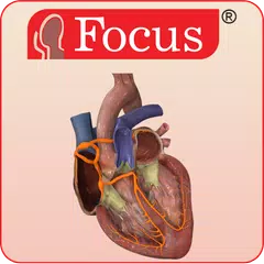 HEART - Digital Anatomy Atlas APK download