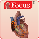 HEART - Digital Anatomy Atlas APK