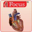 HEART - Digital Anatomy Atlas icon