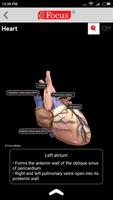 HEART - Digital Anatomy Atlas スクリーンショット 3