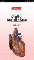 HEART - Digital Anatomy Atlas Plakat