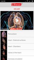HEART - Digital Anatomy Atlas スクリーンショット 1
