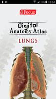 Lungs Cartaz