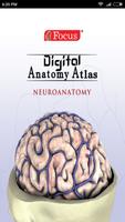 NEUROANATOMY - Digital Atlas Affiche